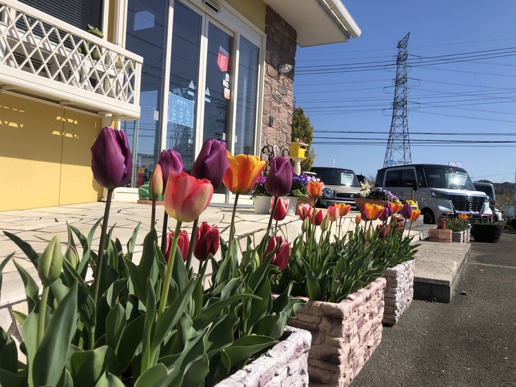 ☆春の展示会開催中☆